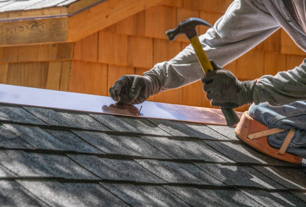 Best Solar Panel Roofing Installation  in Rincon, GA