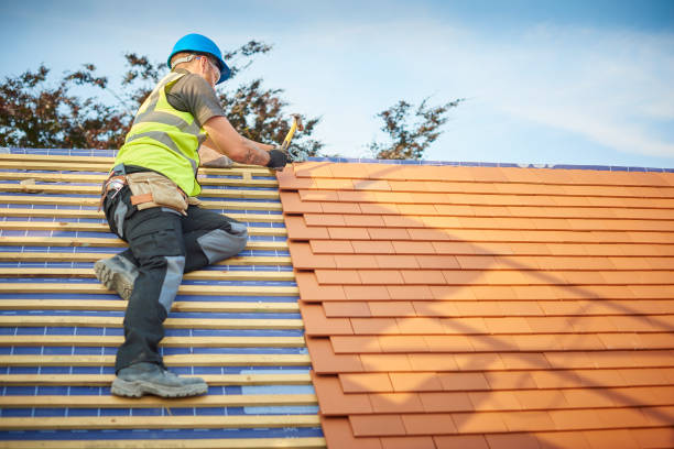 Best Asphalt Shingle Roofing  in Rincon, GA